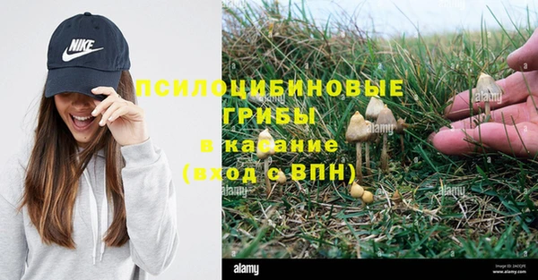 Альфа ПВП Горняк