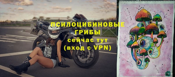 гидра Алексеевка